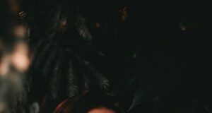 Nejoblíbenější modely dámských hodinek Garmin Nejoblíbenější modely dámských hodinek Samsung