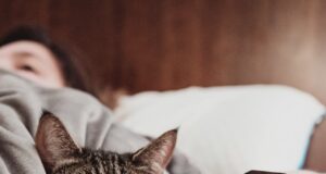 Dámské hodinky Casio pro každodenní nošení Dámské hodinky Casio pro každodenní nošení