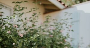 Jak čistit a udržovat stříbrné řetízky Jak čistit a udržovat stříbrné řetízky