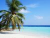 Romantika na Maledivách – Procházka pláží Romantika na Maledivách - Procházka pláží