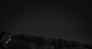 Dámské stříbrné přívěsky pro znamení zvěrokruhu Dámské stříbrné přívěsky pro znamení zvěrokruhu