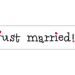 Svatební SPZ Just married - trička na rozlučku se svobodou