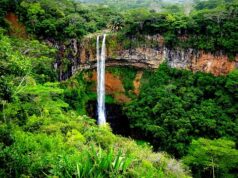 Jak se připravit na zájezd na Mauricius: Tipy a rady pro cestovatele☀️