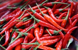 Kampotský pepř: nejlepší koření světa? Kampotský pepř: nejlepší koření světa?