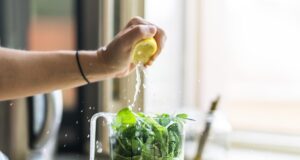 DailyMix a imunita Krabičková dieta Nutricbistro a vegetariánství