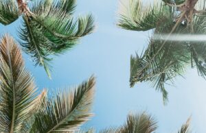 Luxusní dovolená na Santorini: Nejlepší služby a zážitky Nejlepší destinace pro dovolenou pro singly v Karibiku