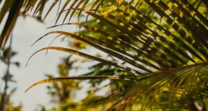 Dovolená v Portugalsku: nejlepší aktivity pro rodiny s dětmi Dovolená v Portugalsku: nejlepší aktivity pro rodiny s dětmi