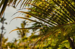 Průvodce Kapverdskými ostrovy pro rodiny s dětmi Dovolená v Portugalsku: nejlepší aktivity pro rodiny s dětmi