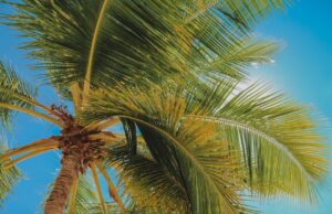 Jak se připravit na cestu do Dominikánské republiky Jak si užít Portugalsko s omezeným rozpočtem