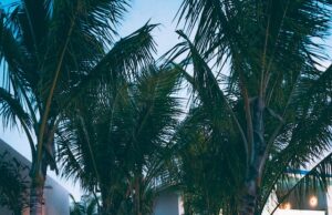 Dovolená na Santorini pro rodiny s dětmi: Aktivity a tipy Jak se seznámit s lidmi na dovolené pro singly