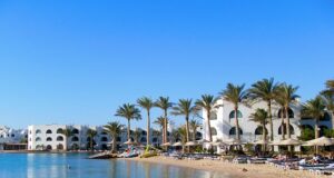 Jak se užít nákupy na Djerbu a co si donést🌞