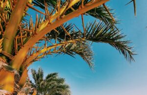 Kapverdské ostrovy: ideální destinace pro dovolenou