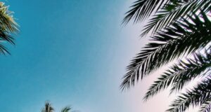 Jaké jsou možnosti šnorchlování na Kapverdách? kapverdy dovolena