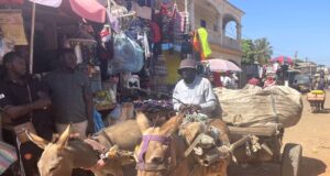 Gambie – pobřežní oblast