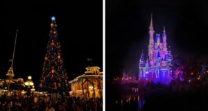 Proč byste měli letos o Vánocích navštívit Orlando, USA