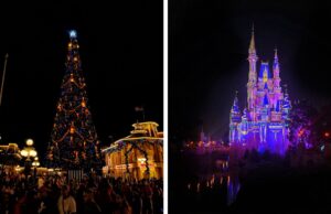 Proč byste měli letos o Vánocích navštívit Orlando, USA