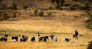 Výlet přes Tas Yolu – Stone Road v Erzincan, Turecko